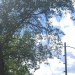 Тима, 21 год